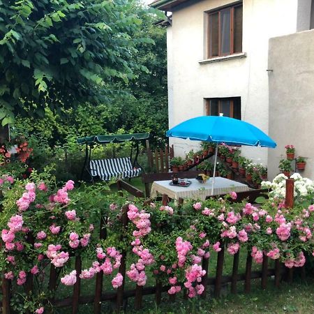 Guest House Emmy Trigrad Dış mekan fotoğraf