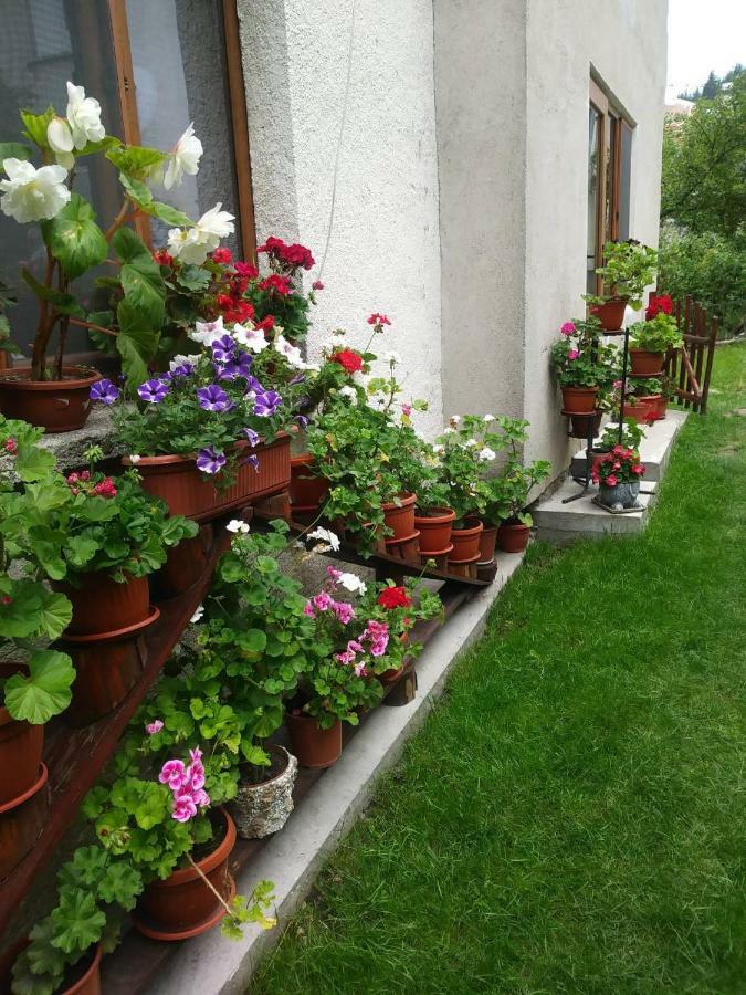 Guest House Emmy Trigrad Dış mekan fotoğraf