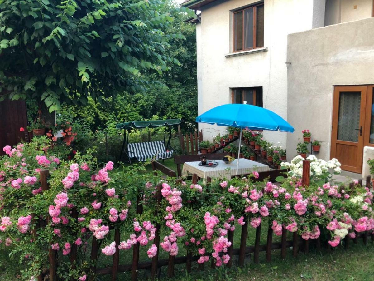 Guest House Emmy Trigrad Dış mekan fotoğraf